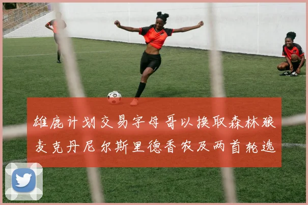 雄鹿计划交易字母哥以换取森林狼麦克丹尼尔斯里德香农及两首轮选秀权