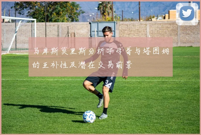 马库斯莫里斯分析字母哥与塔图姆的互补性及潜在交易前景