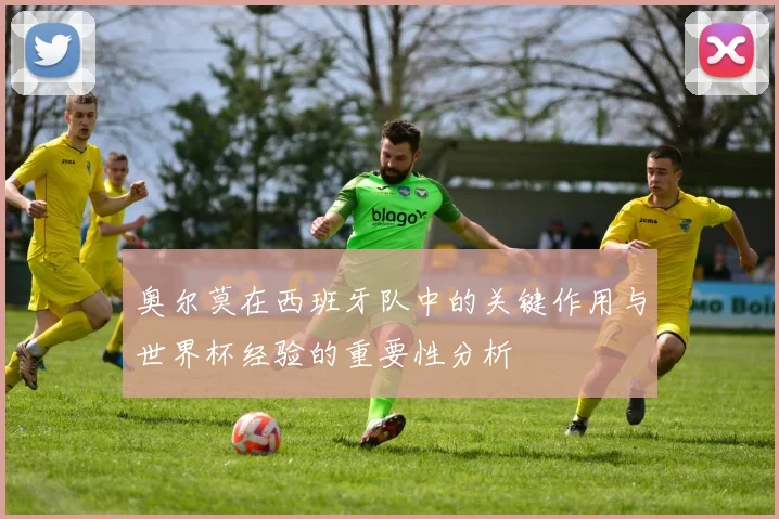 奥尔莫在西班牙队中的关键作用与世界杯经验的重要性分析